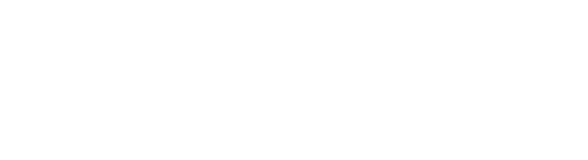 ベルクヴィーナジェット ロゴ