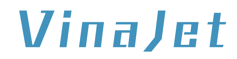 ベルクヴィーナジェット ロゴ